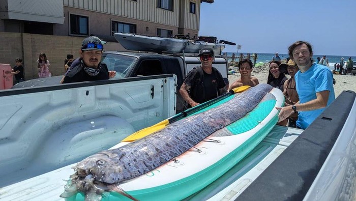 Oarfish ikan kiamat