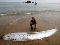 Oarfish ikan kiamat