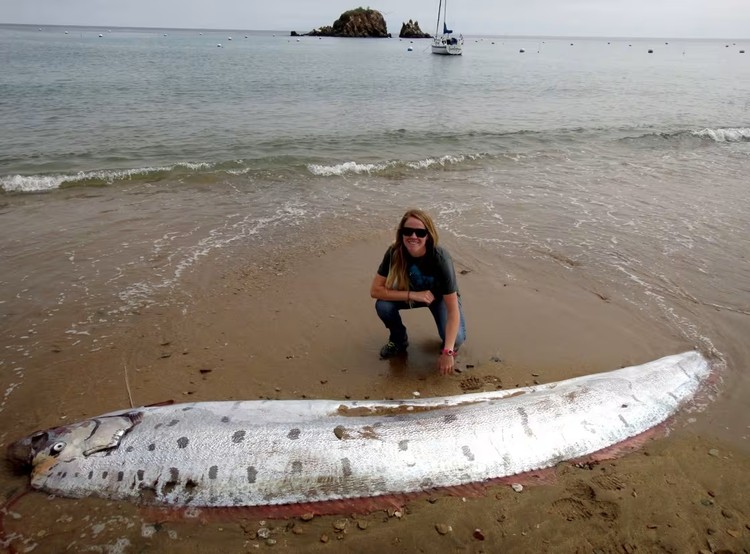 Oarfish ikan kiamat