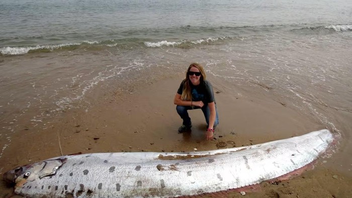 Oarfish ikan kiamat