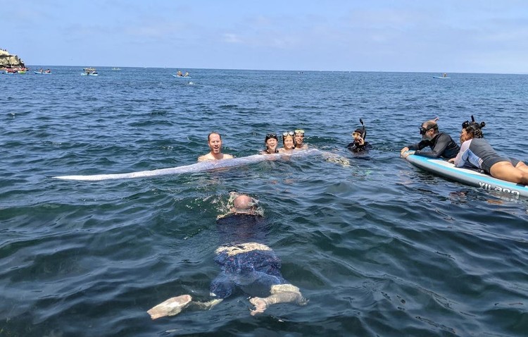 Oarfish ikan kiamat Oarfish ikan kiamat