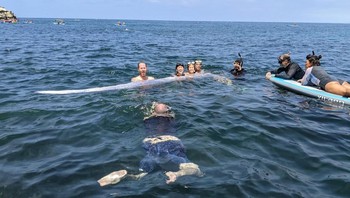 Namun, para peneliti Jepang yang meneliti laporan surat kabar, catatan akuarium, dan makalah akademis yang berasal dari tahun 1928 tidak dapat menemukan korelasi antara penampakan oarfish dan gempa besar. Foto: Michael Wang via USA Today