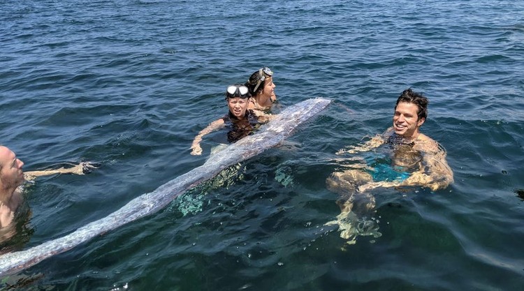 Oarfish ikan kiamat