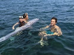 Heboh Penampakan Oarfish, Ikan Hari Kiamat