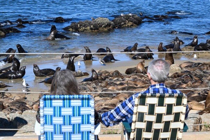 Pantai San Carlos di Monterey, California