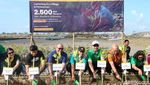Penanaman 2.500 Bibit Mangrove untuk Pelestarian Lingkungan di Bali