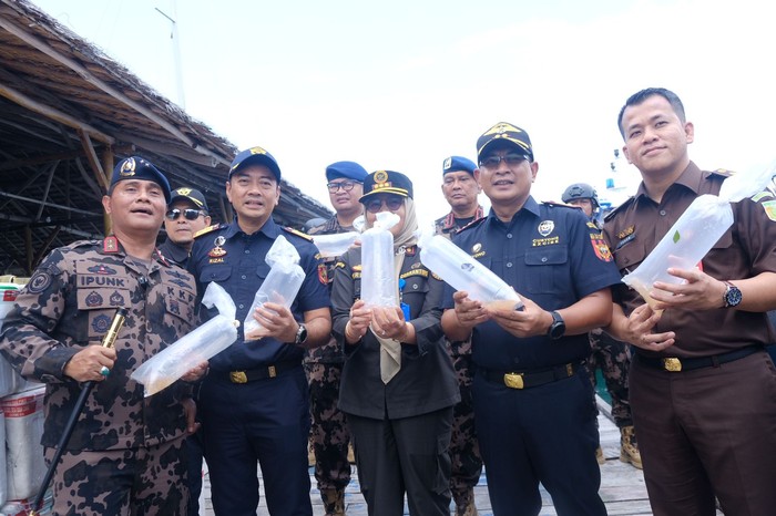 Penangkapan Benih Lobster di Batam