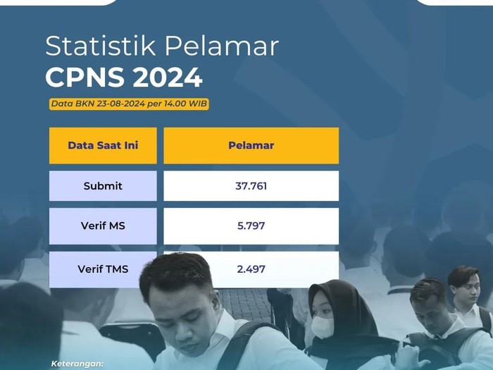 Seleksi CPNS 2024. (Tangkapan layar Instagram @bkngoidofficial)