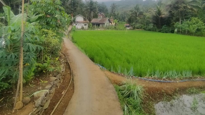 Suasana Dusun Bangbayang Kidul yang diteror sosok kuda gonjreng.
