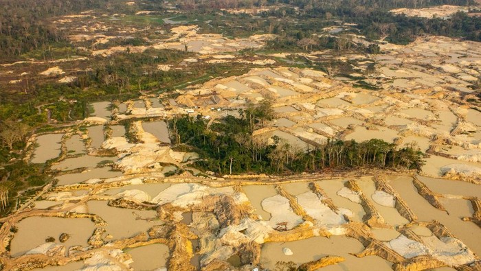Tambang Emas Ilegal Makin Meluas, Pertanian Brasil Terancam An aerial view shows iIllegal mining, also known as garimpo, at a deforested area of the Sarare Indigenous Land, in Mato Grosso State, Brazil, August 21, 2024. Fabio Bispo/Greenpeace Brazil/Handout via REUTERS THIS IMAGE HAS BEEN SUPPLIED BY A THIRD PARTY NO RESALES. NO ARCHIVES