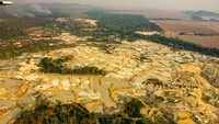 Pemandangan udara menunjukkan penambangan ilegal, yang juga dikenal sebagai garimpo, di area hutan gundul di Tanah Adat Sarare, di Negara Bagian Mato Grosso, Brasil, Rabu (21/8/2024).  