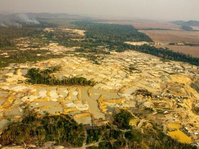 Tambang Emas Ilegal Makin Meluas, Pertanian Brasil Terancam