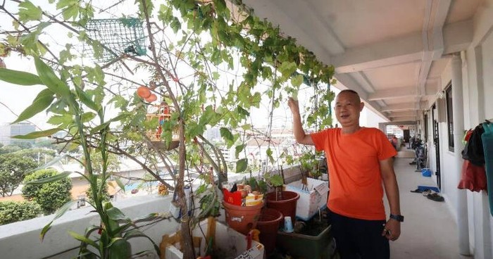 Berhenti Kerja, Karyawan IT Ini Pilih Jadi Tukang Kebun!