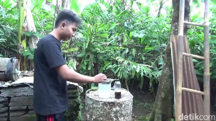 Budidaya lebah di Lumajang cuan belasan juta rupiah per bulan