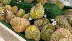 Ngidam Durian Enak? Di Tempat Ini Ada Dessert dan Ragam Durian Premium