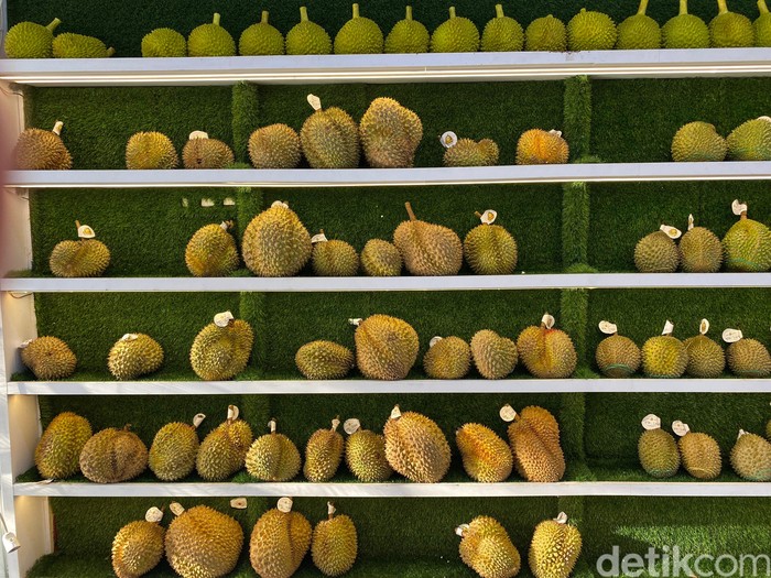 Good Durian Good Durian, tempat makan durian premium di kawasan Pluit, Jakarta Utara