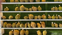 Sudah 3 tahun Good Durian berdiri dan kini telah memiliki 2 cabang. Salah satunya berlokasi di Pondok Indah, Jakarta Selatan. Tak hanya menjadi toko retail, tapi Good Durian juga menjadi supplier untuk beberapa tempat makan durian lainnya. Foto: detikFood/Yenny Mustika Sari