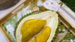 Ngidam Durian Enak? Di Tempat Ini Ada Dessert dan Ragam Durian Premium