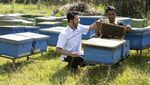 Penjaminan Kredit untuk 3,89 Juta UMKM di Indonesia