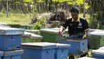 Penjaminan Kredit untuk 3,89 Juta UMKM di Indonesia