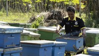 Untuk mengoptimalkan potensi UMKM, Jamkrindo secara berkelanjutan menjalankan program pemberdayaan dan pendampingan kepada UMKM. Tujuannya agar UMKM memiliki bekal untuk meningkatkan produktivitas dan memperluas dasarnya, agar dapat naik kelas dan berkontribusi bagi perekonomian nasional.