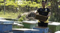 Sepanjang semester I-2024, Jamkrindo telah mencatatkan volume penjaminan sebesar Rp 148,36 triliun dengan jumlah debitur terjamin mencapai 3,89 juta UMKM. Melalui produk penjaminan kredit, Jamkrindo membantu pelaku UMKM yang mengalami kesulitan ketiadaan atau kekurangan agunan atau selama ini belum mendapatkan akses ke modal perbankan (unbankable) sehingga bisa memperoleh pinjaman dari lembaga keuangan.