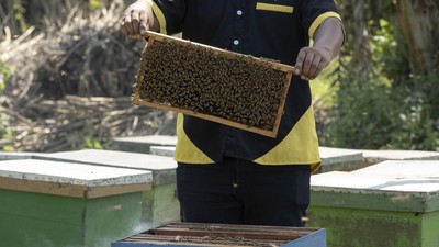 Penjaminan Kredit untuk 3,89 Juta UMKM di Indonesia