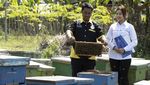 Penjaminan Kredit untuk 3,89 Juta UMKM di Indonesia