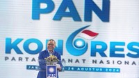 Sementara itu, Ketua Umum PAN Zulkifli Hasan (Zulhas) menargetkan PAN menjadi partai besar di Pemilu 2029. Zulhas mengatakan PAN akan meniru Partai Gerindra untuk menjadi partai besar.