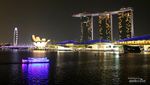 Sisi Lain Singapura untuk Para Pencinta Buku