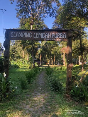 Nagih Banget! Glamping di Tengah Hutan Gunung Gede Pangrango