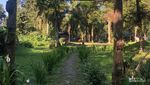 Nagih Banget! Glamping di Tengah Hutan Gunung Gede Pangrango