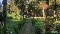 Glamping Seru di Lembah Purba