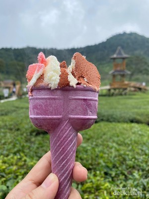 Kebun Teh Sikatok, Destinasi Wonosobo yang Cocok untuk Keluarga