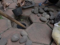 Tak Perlu Tong Sampah, Ini Cara Olah Sampah Organik Langsung di Pekarangan