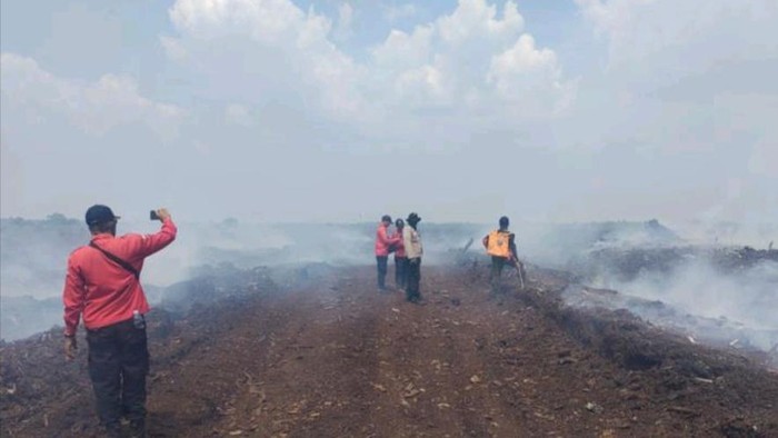 Karhutla di Jalan Hauling Batu Bara Km 8, Kecamatan Sungai Rotan mencapai 15 hektare.