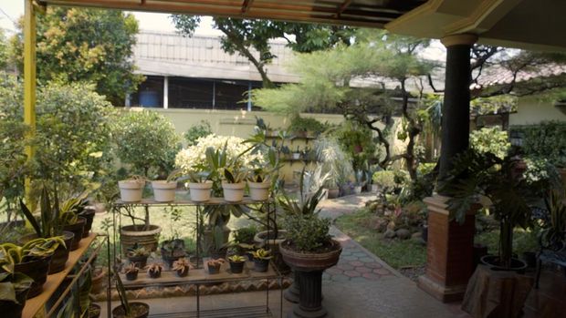 Koleksi Tanaman Rumah SOPAN
