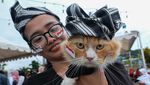 Foto Lucu Kucing Ikut Kontes Kostum Hewan Peliharaan di Kendari