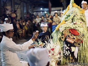 Aci Sanghyang Grodog: Tradisi Unik Tiap Dua Tahun Sekali di Nusa Lembongan