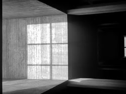 Karya Jawara Kontes Foto Amatir yang Menginspirasi