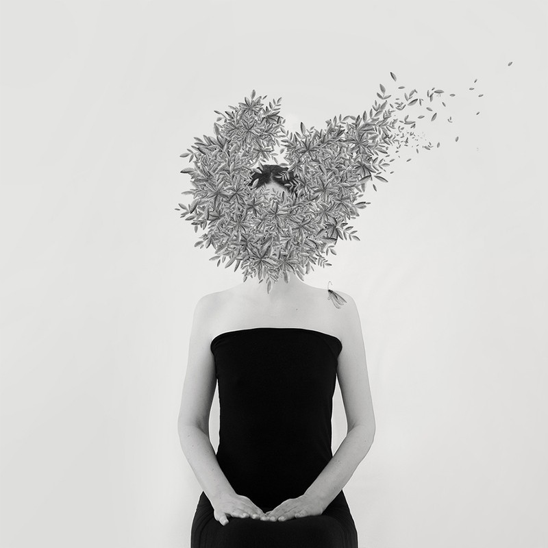 Prix de la Photographie Paris