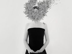 Karya Jawara Kontes Foto Amatir yang Menginspirasi