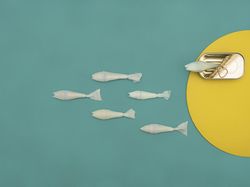 Karya Jawara Kontes Foto Amatir yang Menginspirasi