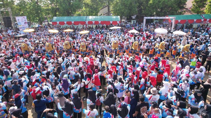 Ribuan Relawan Bang Ara terus bergerilya mendukung calon kepala daerah dari Subang, Majalengka dan Sumedang. Semua turun ke jalan menggelar pesta budaya, pawai, orasi dan masih banyak lagi.