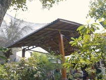 5 Tips Jitu Merawat Tanaman Biar Rumah Asri dan Ramah Lingkungan