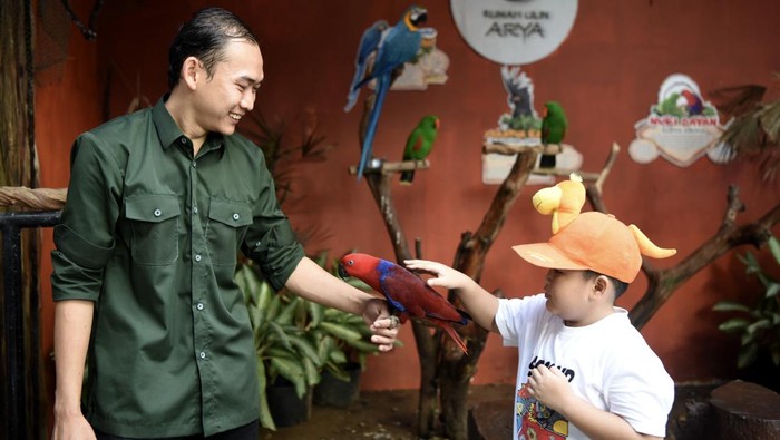 Pengunjung memegang ular piton kuning di kebun binatang mini di Rumah Ulin Arya, Samarinda, Kalimantan Timur, Minggu (25/8/2024). Rumah Ulin Arya yang berada di wilayah seluas tiga hektare tersebut  menawarkan wisata alam terbuka dengan memiliki koleksi satwa seperti burung macaw, binturong (arctictis binturong), kakatua raja (probosciger aterrimus) hingga enggang julang emas (rhyticeros undulatus) yang menjadi sarana edukasi saat liburan akhir pekan. ANTARA FOTO/M Risyal Hidayat/YU