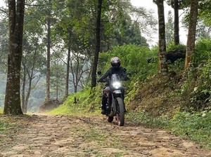 Review Royal Enfield Himalayan 450: Tenaga Makin Gede, Cocok buat Pemula?