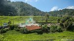 Detik-detik Pembongkaran Bangunan Liar Pedagang di Puncak