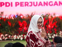 Ragam Reaksi Warganet soal Airin Diospek Megawati