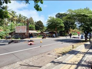 Motor Vs Motor di Jalan Denpasar-Gilimanuk, Korban Terkapar di Tengah Jalan